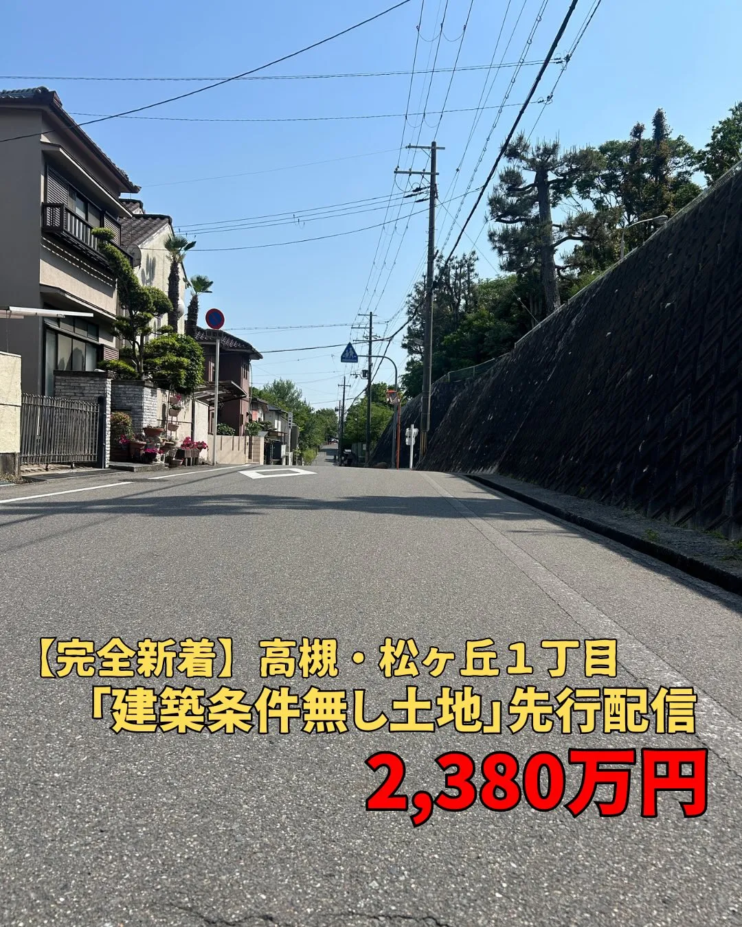 【チラシ未掲載】新着すぎて、あさってからのチラシに間に合わな...