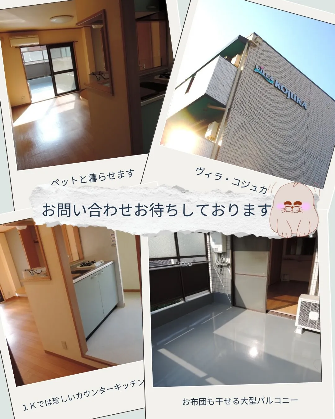 高槻市でペットと暮らすお部屋を探している方必見ガジャ✨