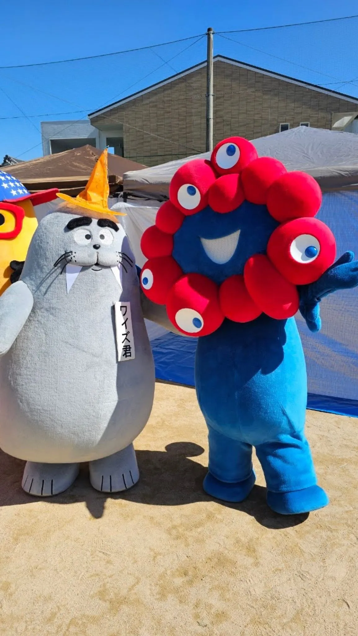 フォロー、いいねで