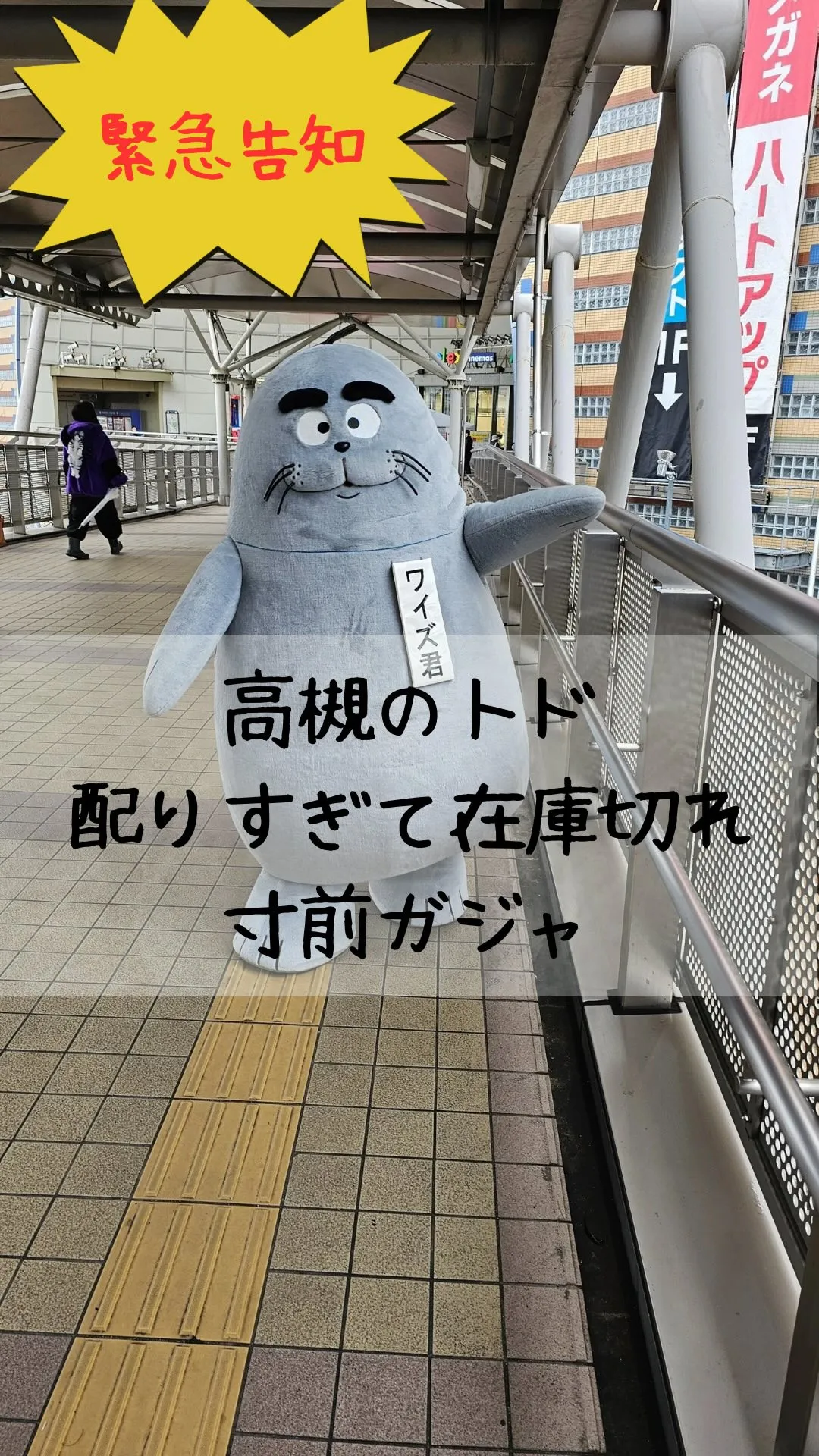 ガジャ！ワイズ君ガジャ！インスタ見てくれてるみなさんからLI...